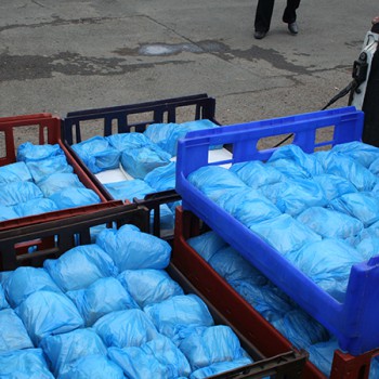 Feeding Scheme